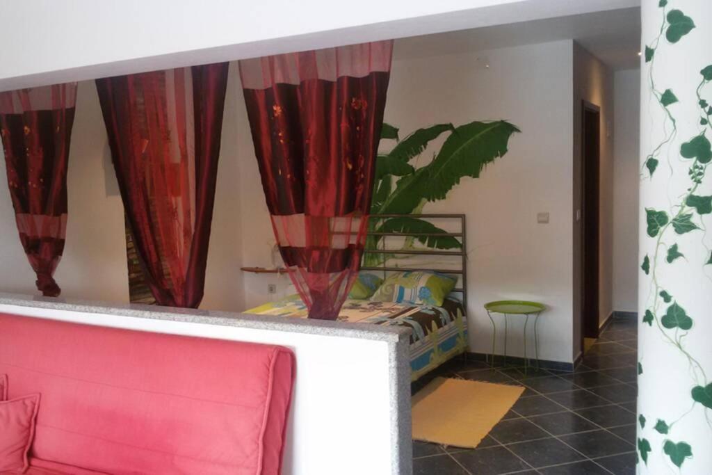 Studio Mira Abragao Екстериор снимка